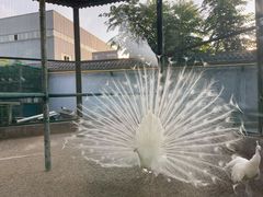 -瑞博尔花园酒店(太周创新产业园店)