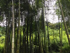 -黄公望隐居地