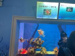-长春中泰海洋世界