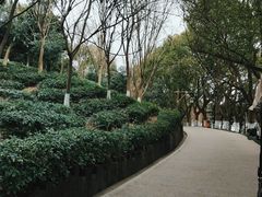 -天目湖山水园