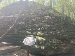 -汤旺河林海奇石景区