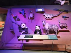 -中国天府农业博览园