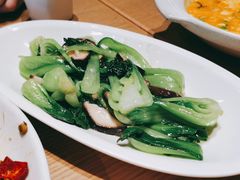 香菇菜心-渝信川菜 · 川味家常菜(财富购物中心店)