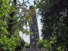 -上海佘山国家森林公园天马山园