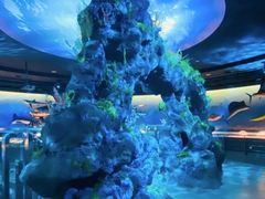 -陕西自然博物馆