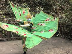 -西双版纳原始森林公园