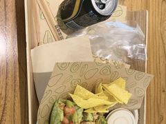 -油梨树 AVOCADO TREE(亮马桥店)