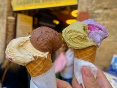 开心果-Gelateria Dondoli