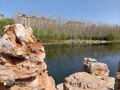 -马家湾湿地公园