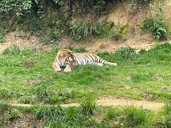 -杭州野生动物世界