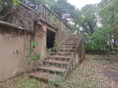 -上海佘山国家森林公园天马山园