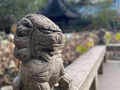 -上海醉白池公园