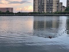 -杭州半山国家森林公园