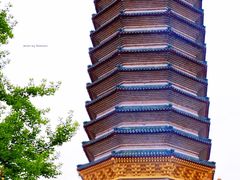 -八大处公园