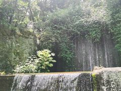 -千岛湖东南湖区