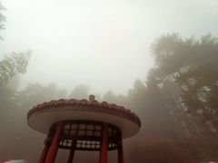 -庐山风景区花径公园