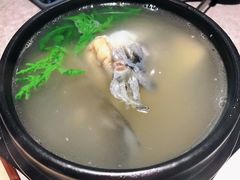 -吉力烤鳗