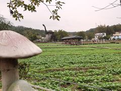 -红山村