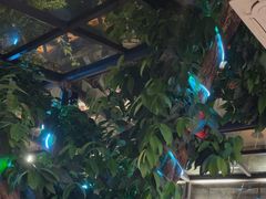 -海岛八号龙虾烧烤田鸡(蓝天路总店)