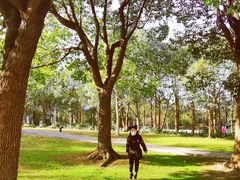 -上海市第一人民医院(松江南部)