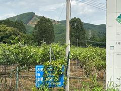 -满記土窑烧鷄波浪山莊