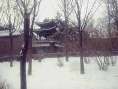 -迎泽公园