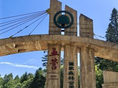 -五营红松林海景区