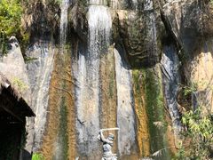 -西双版纳原始森林公园