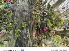 -正佳雨林生态植物园