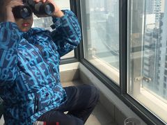 -新湖明珠城