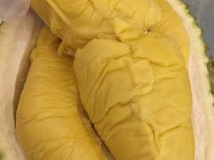 -都念榴莲·城市榴莲