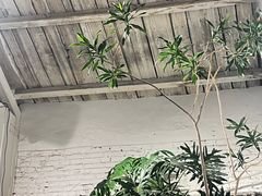 -孟林厨房(798店)