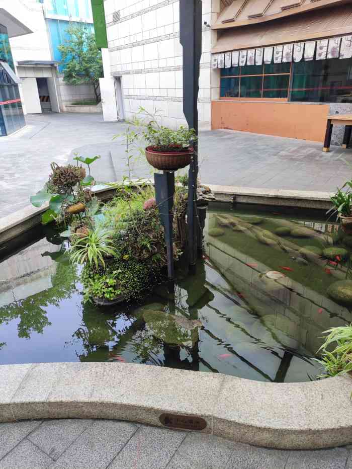 南堂听香·新川菜(桂溪店)-"首先还是说句吧,相机拍摄的,餐厅灯光偏暖