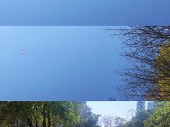 -荔香公园