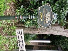 android_upload_pic-三鹰之森吉卜力美术馆