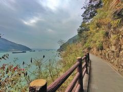 -羚羊峡古栈道森林公园