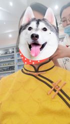 -亲吻宝贝儿童摄影