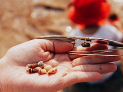 -日照灯塔风景区