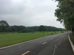 -艾溪湖湿地公园