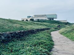 -涉地可支