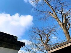 -雨花胜境