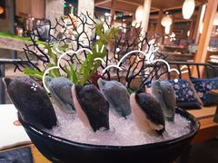 海豚丸-湊湊火锅·茶憩(石家庄万象城店)