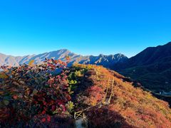 -水峪民俗村