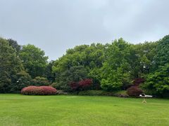 -梦菲思饼屋(瑞金宾馆店)