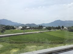 -黄牛肉馆·皖南土菜