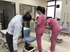 -爱妮康宠物医院·干细胞免疫细胞·肿瘤·心脏(张江店)