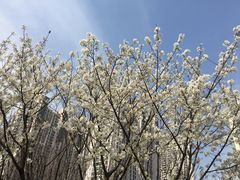 -苏州河梦清园环保主题公园