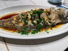 -金海湾海鲜排档(朱家尖店)