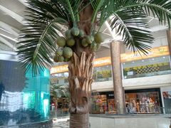 -碧桂园十里银滩