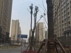 -新江湾·戎辉苑